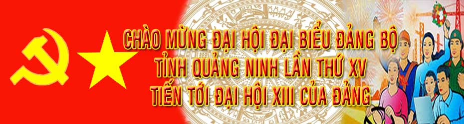 http://baoquangninh.com.vn/theo-dong-su-kien/201910/chao-mung-dai-hoi-dai-bieu-dang-bo-tinh-quang-ninh-lan-thu-xv-tien-toi-dai-hoi-xiii-cua-dang-2458546/
